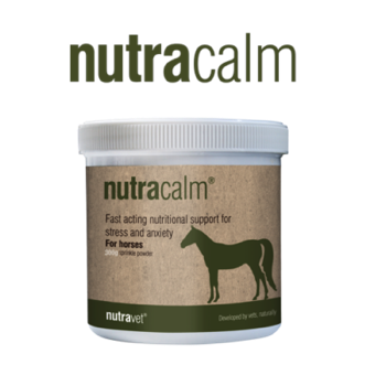 Nutra calm for horses 