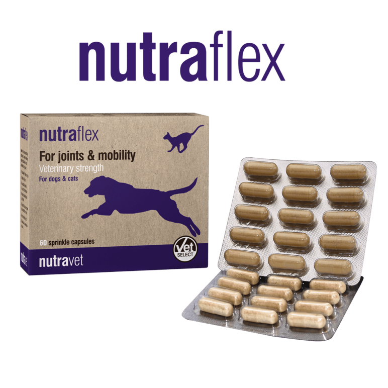 NMutraflex capsules for joints in dogs