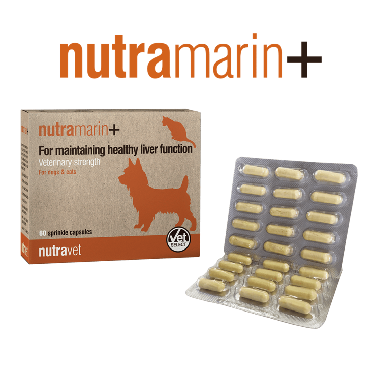 Nutramarin  60 capsules