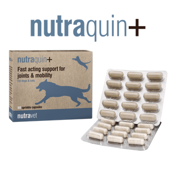 Nutraquin + Capsules