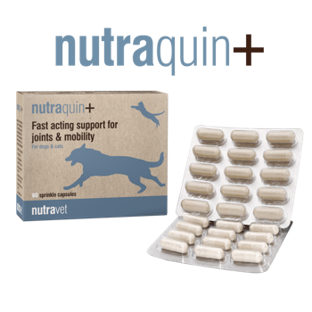 Nutraquin + Capsules
