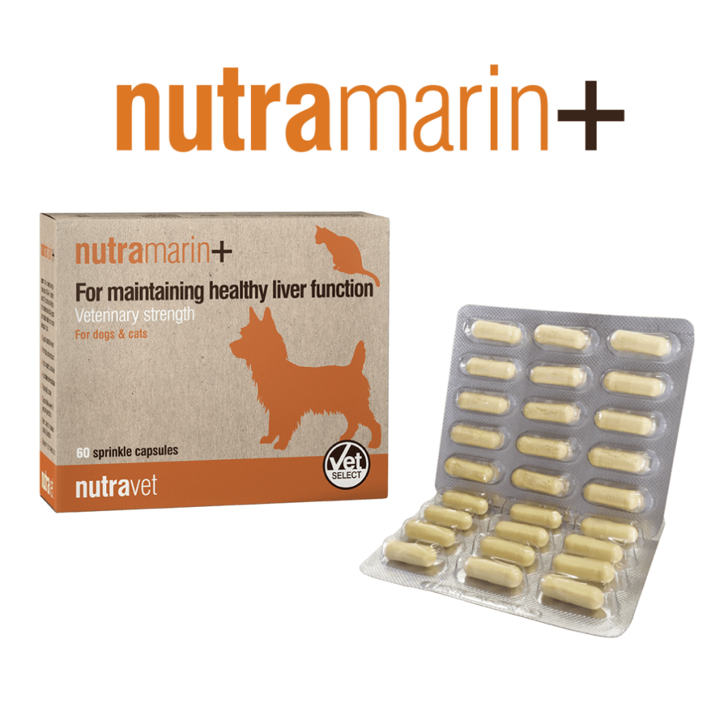 Nutraflex capsules