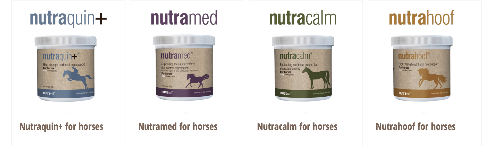 Herbal and Homeopathic Vet in North Wales & NW England