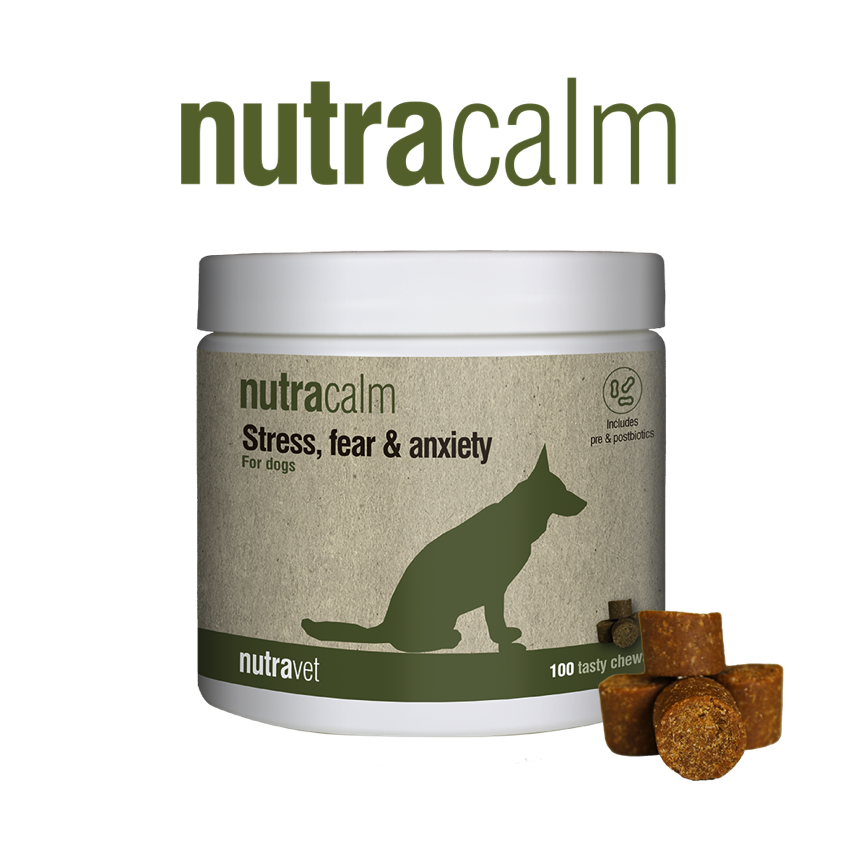 Nutracalm Chews