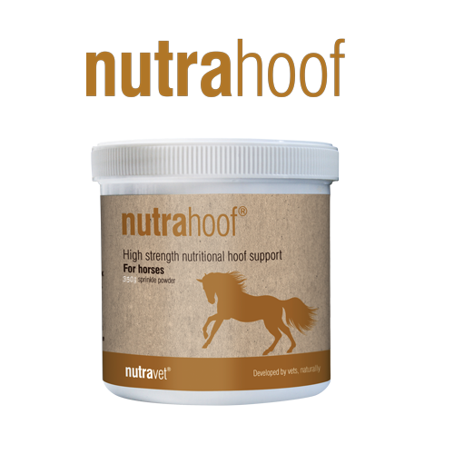 Nutrahoof pony & horse hoof support