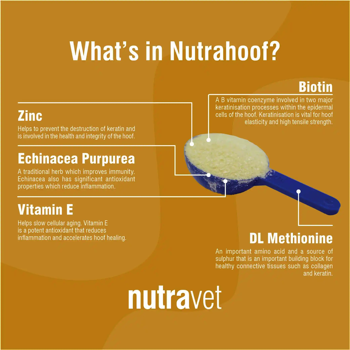 Whats in Nutrahoof