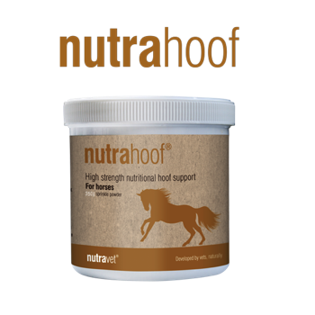 Nutrahoof Hoof support for horses