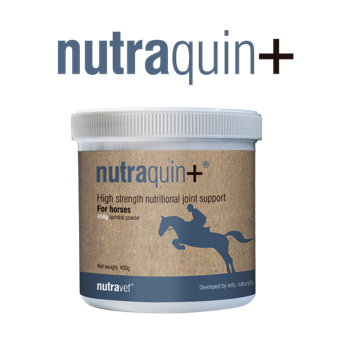 Nutraquin+ horses