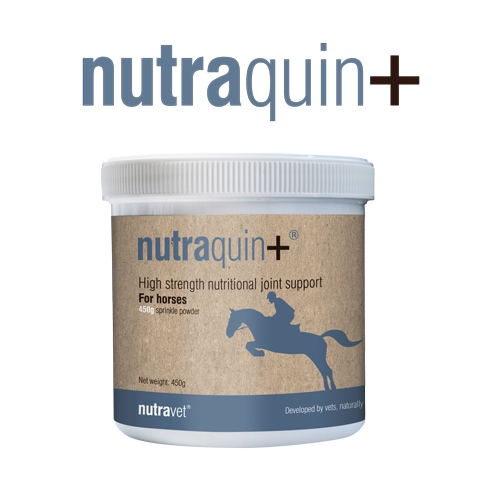 Nutraquin+ Equine