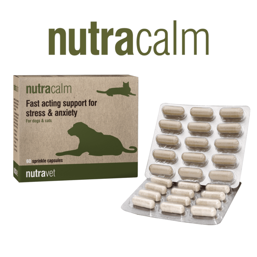 Nutracalm capsules