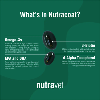 Nutracoat Capsules