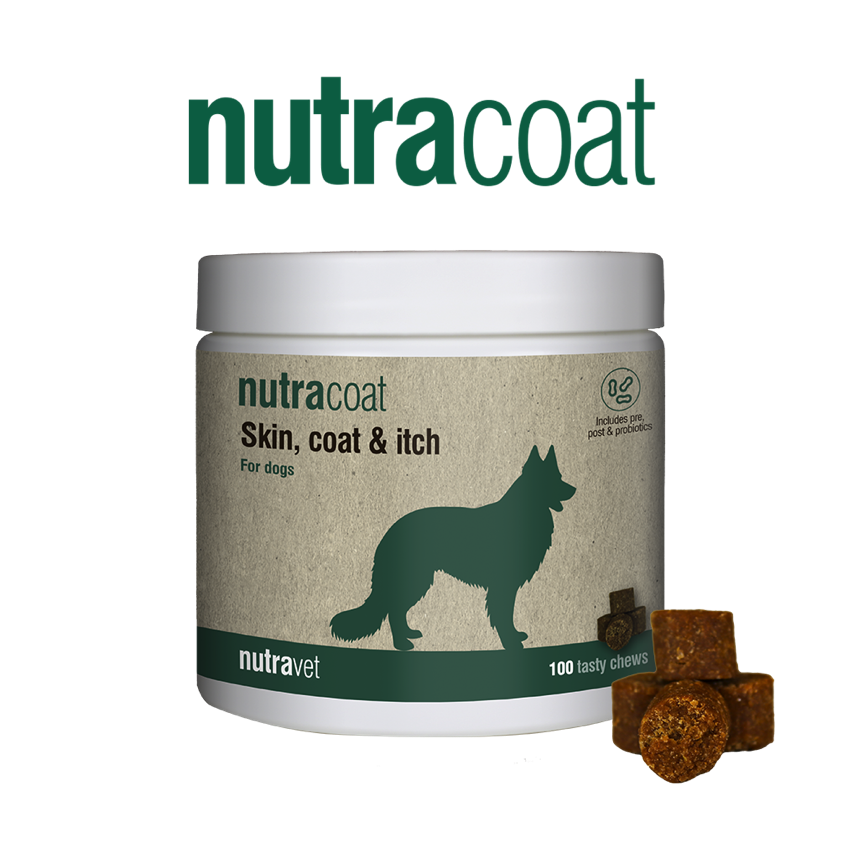 Nutracoat chews