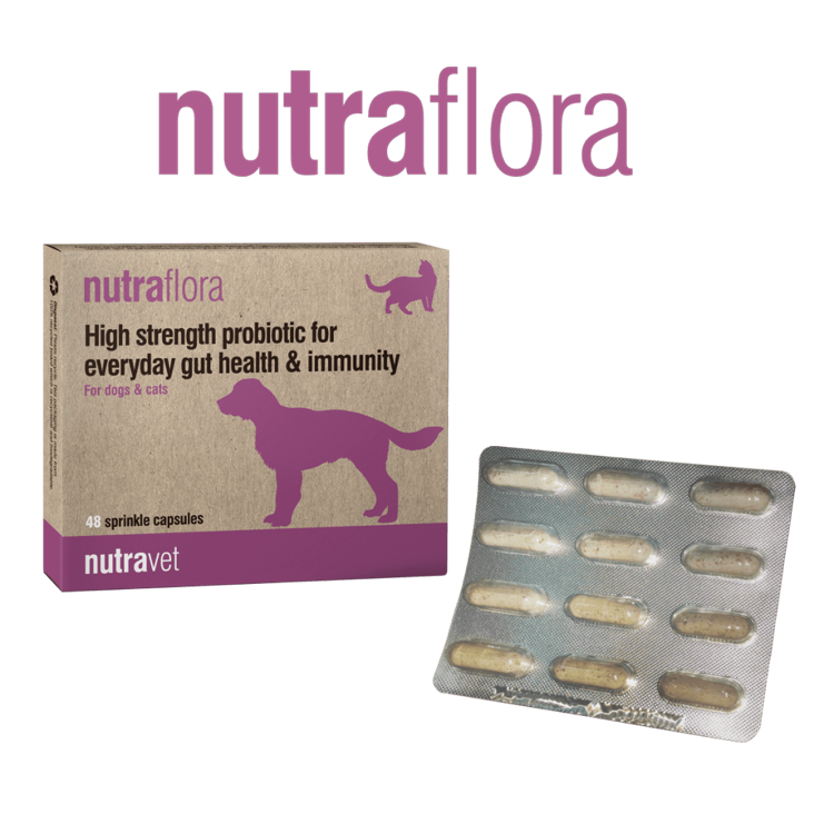 nutraflora probiotic capsules