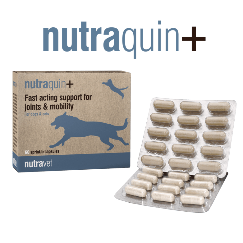 Nutraquin +