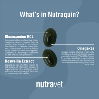 What is in Nutraquin Omega?