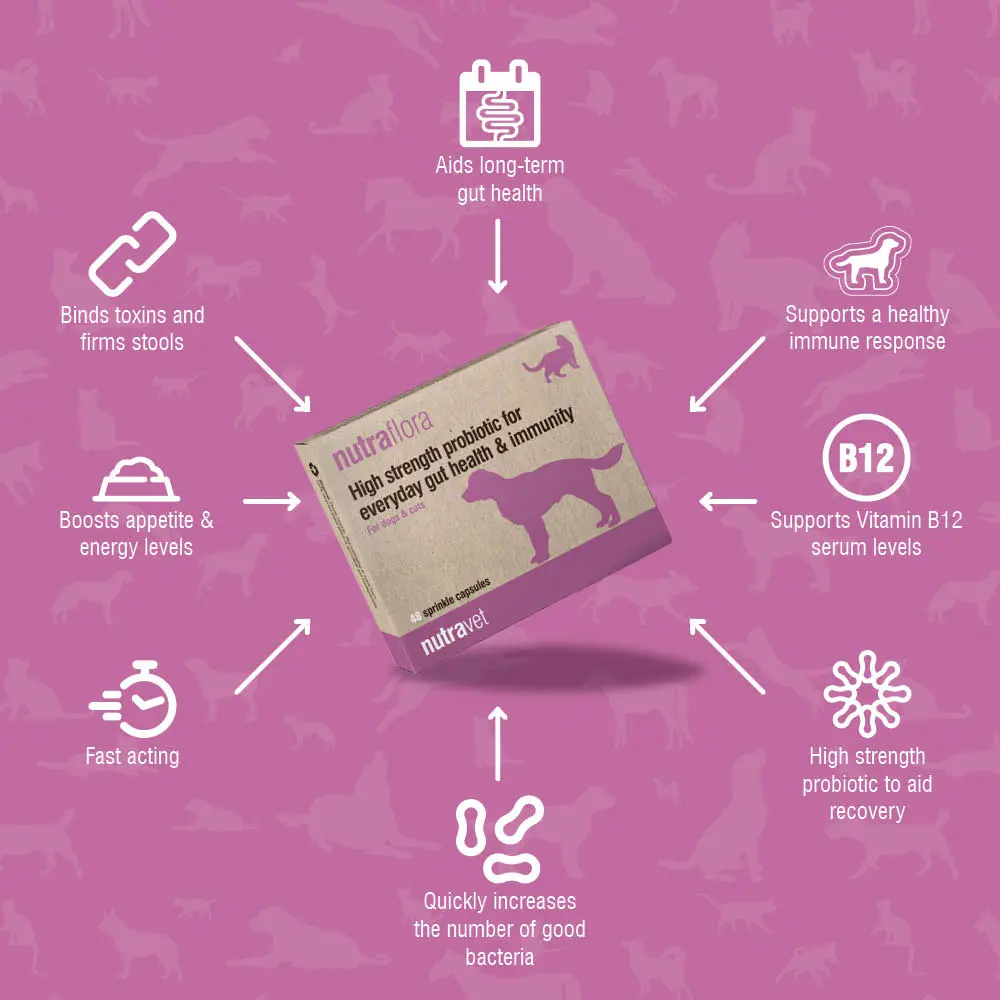 Nutraflora capsules
