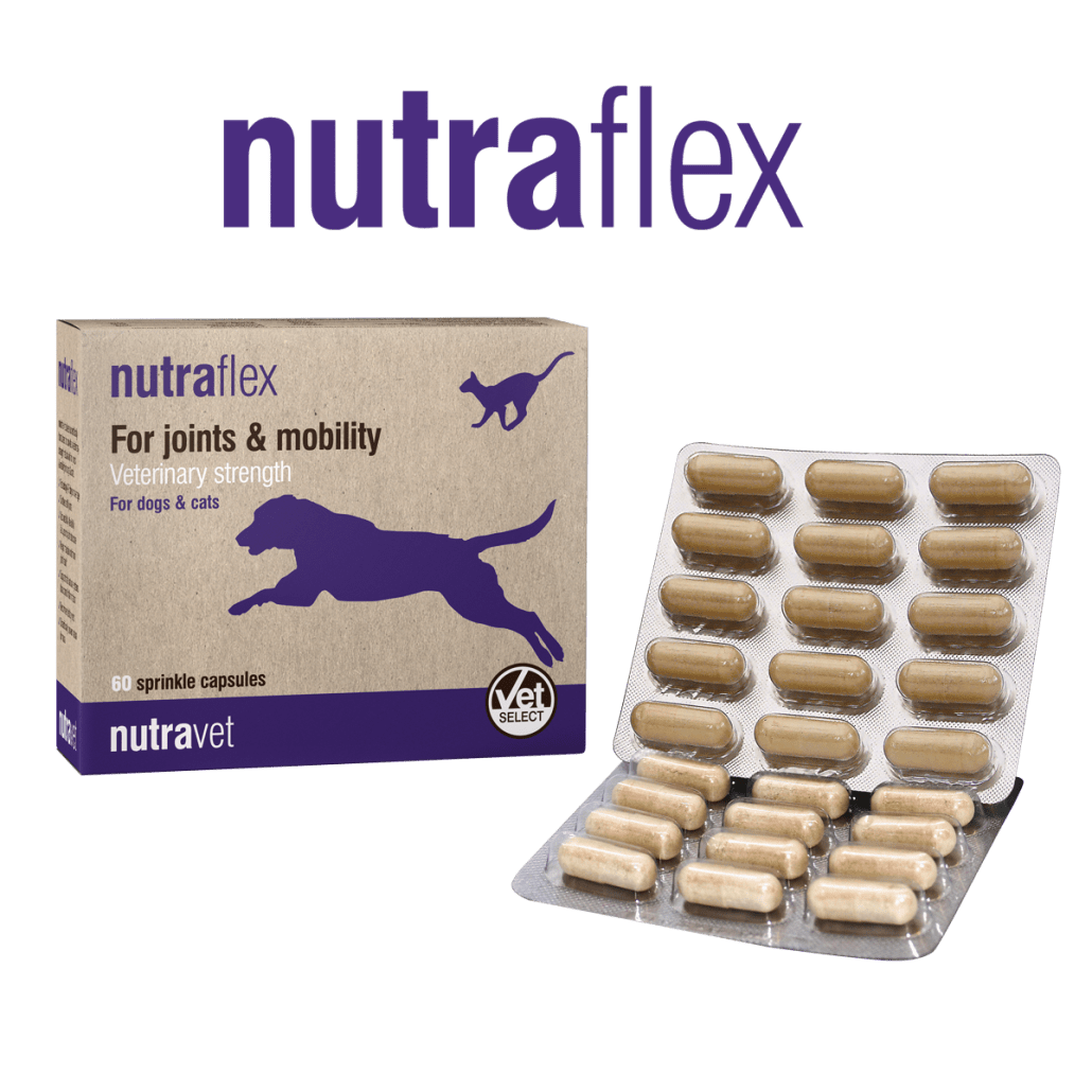 Nutraflex