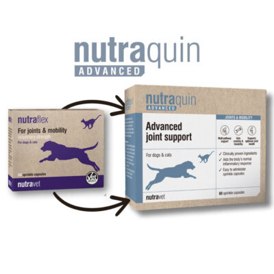 Nutraquin-Advaned-Flex Nutraquin Advanced (Nutraflex) Capsules