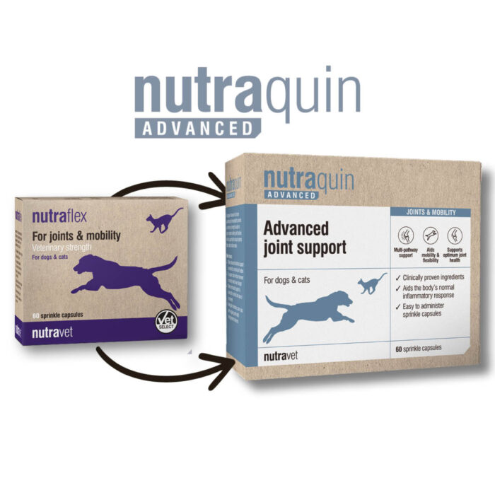 Nutraquin Advanced (Nutraflex) Capsules