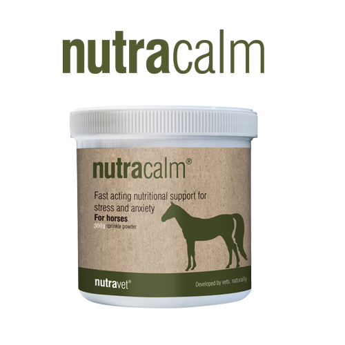 Nutracalm Chews
