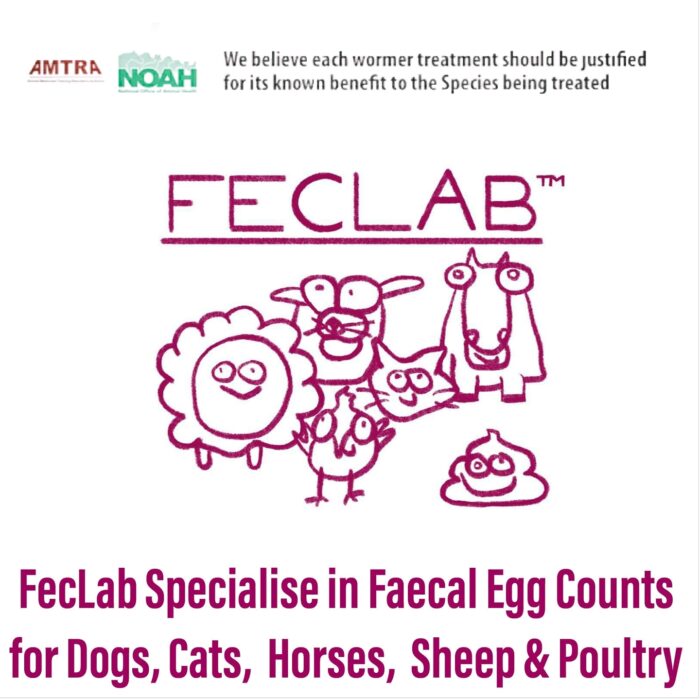 faecal egg counts