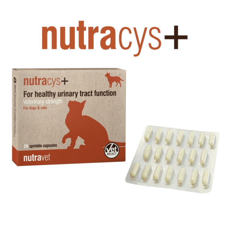 Nutracys+