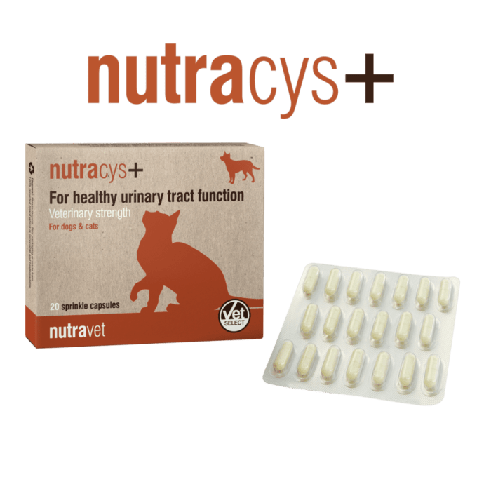 Nutracys Capsules