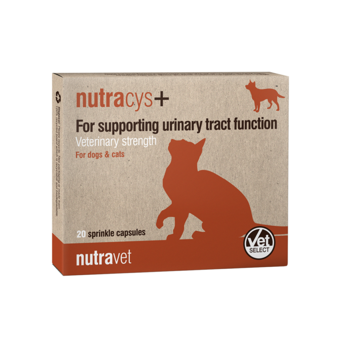 Nutracys+ 20 capsules