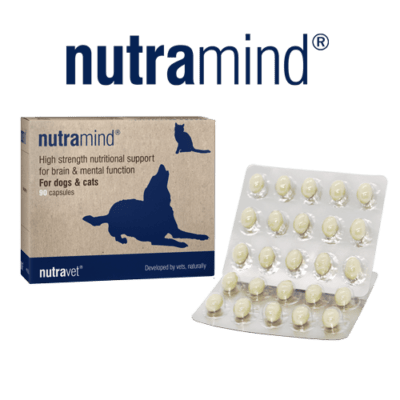 Nutramind