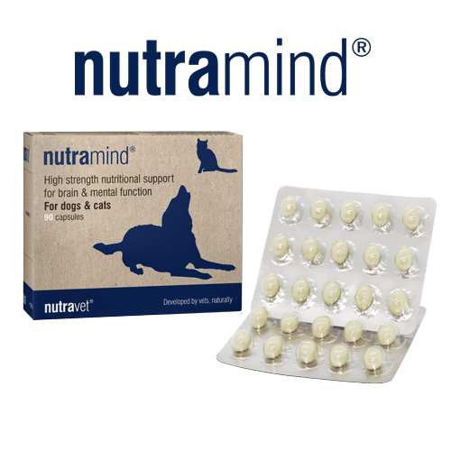 Nutramind