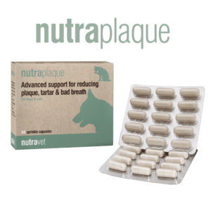 Nutraplaque