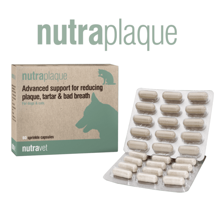 Nutraplaque