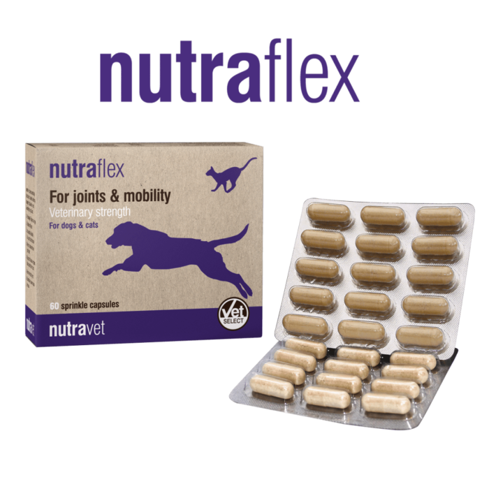 Nutraflex Capsules