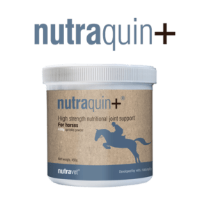 Nutraquin Plus for horse