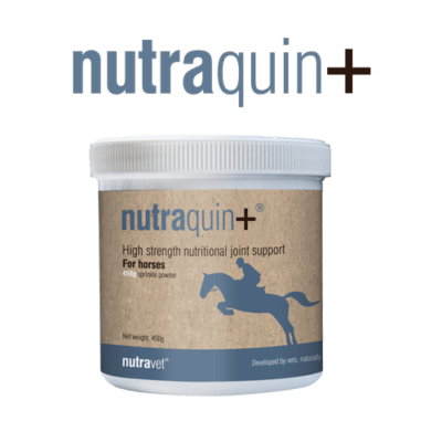 Nutraquin Plus for horse