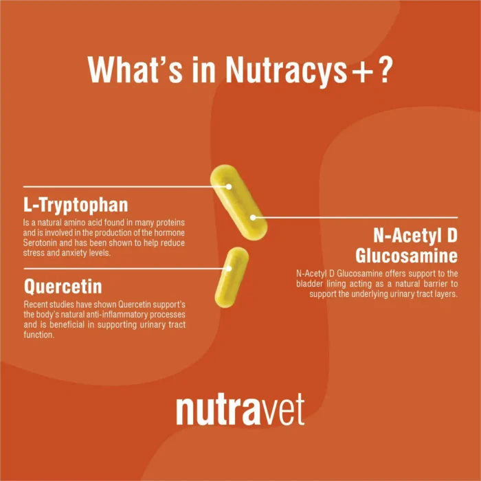 Nutracys+ 220 pack