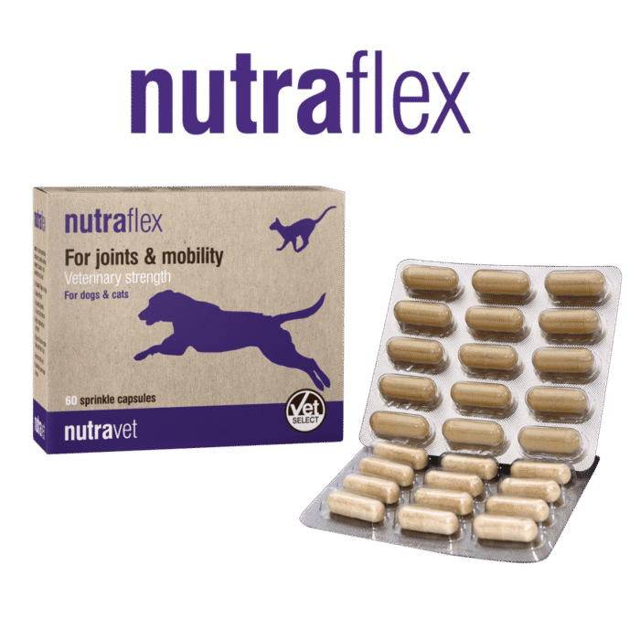 Nutraflex Capsules