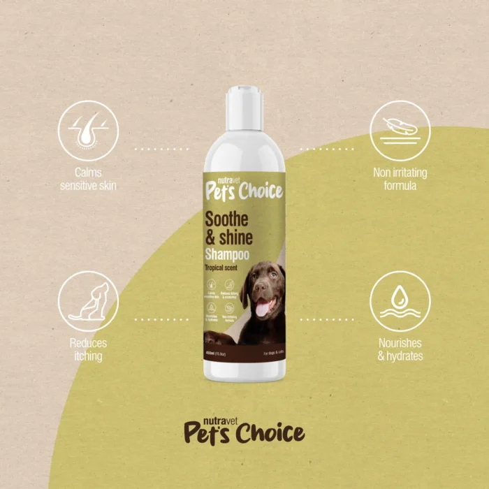 Soothe and Shine Shampoo