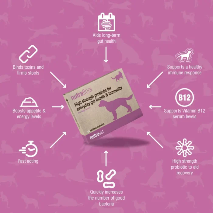 Pointy-products-nutraflora Nutraflora capsules 48