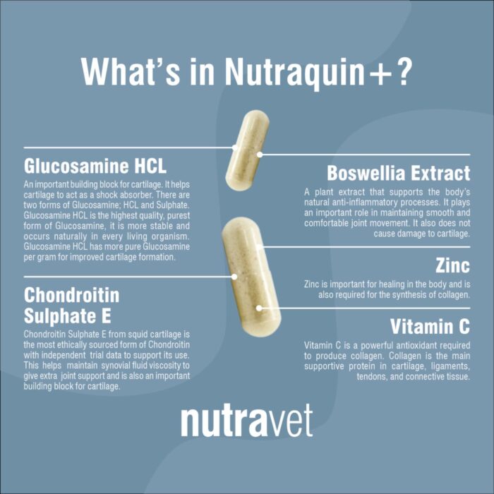 Nutraquin+ Capsules