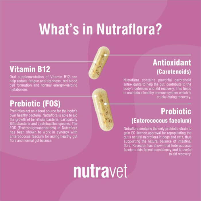 nutraflora-pointy Nutraflora capsules 48