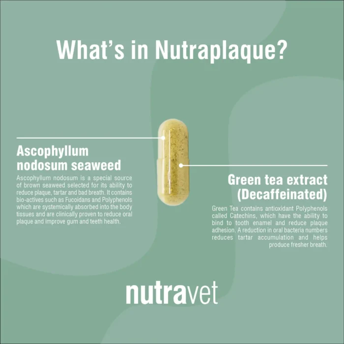 Nutraplaque Capsules (12 pack)