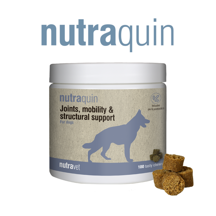 Nutrquin Chews