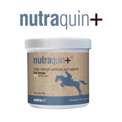 nutraquin-plus-horse-1 Nutraquin Plus Horses