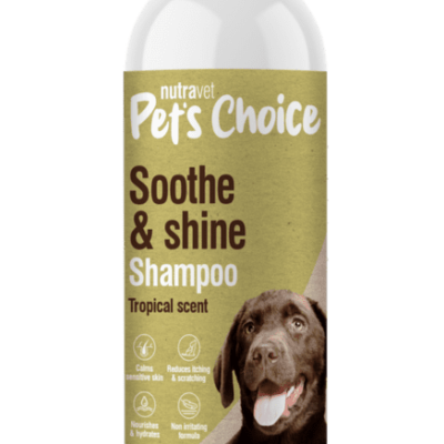 ~Pet Ready Shampoo