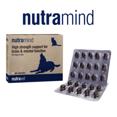 stacks-image-d5910c3-834x834 Nutramind capsules