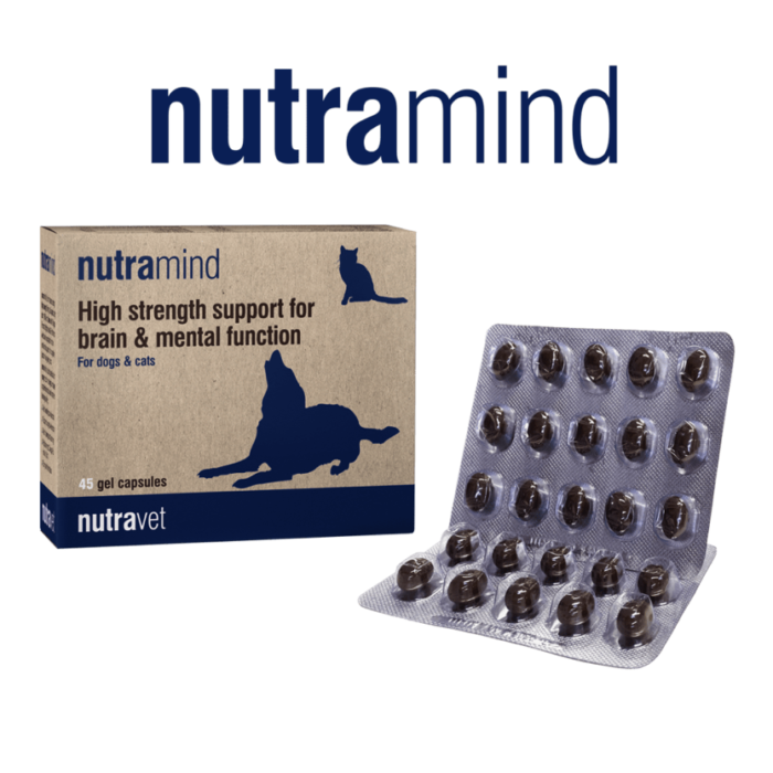 stacks-image-d5910c3-834x834 Nutramind capsules